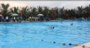 11a.jpg - 